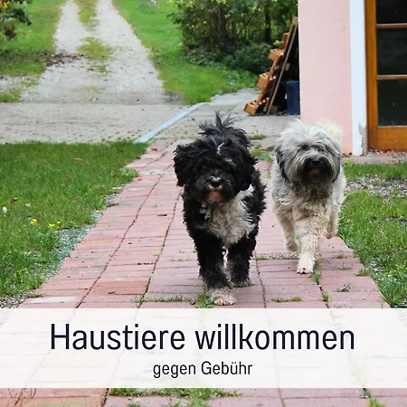 Seezeit Ferienwohnungen Familiennest Dießen am Ammersee Exterior foto
