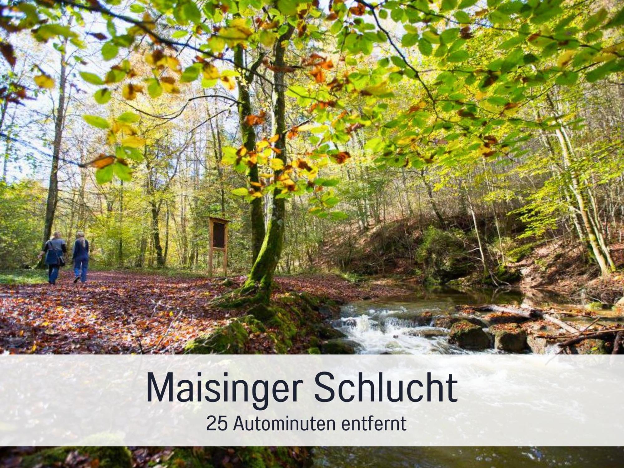Seezeit Familiennest Apartment